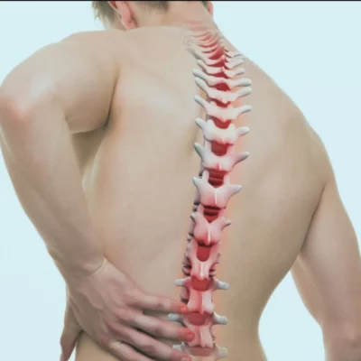 The Ins and Outs of Spine Health